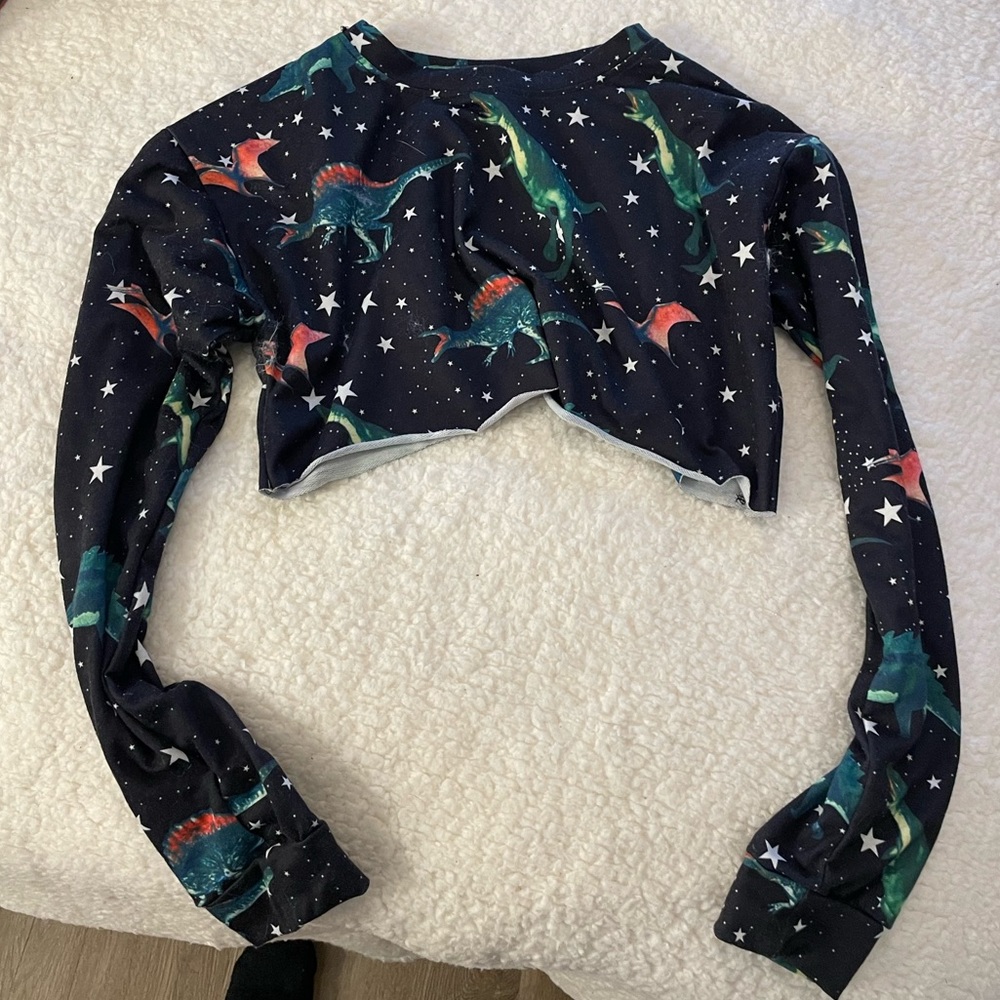 dinosaur Rave crop top